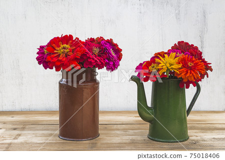 Beautiful summer still life with bouquet of red zinnia flowers in vintage milkcan and green coffee pot 75018406