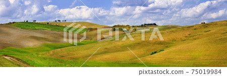 Tuscana landscapes. Hills of Orcia. panorama Tuscana landscapes. Hills of Orcia. panorama 75019984