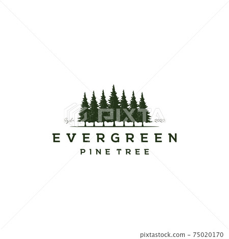 vector, forest, logo 75020170
