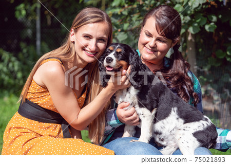 Women friends playing with dogs in the animal shelter 75021893