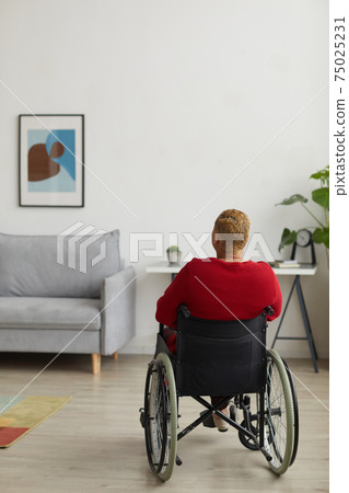 Female Wheelchair User at Home Back View 75025231