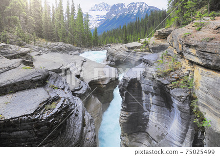 Creek with pure water in the deep canyon. Mistaya canyon. Banff National Park. Alberta. Canada. Creek with pure water in the deep canyon. Mistaya canyon. Banff National Park. Alberta. Canada. 75025499