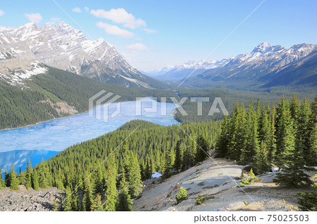 Peyto lake at spring morning. Alberta. Canada. Peyto lake at spring morning. Alberta. Canada. 75025503