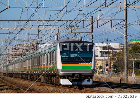 Mt. Fuji and Tokaido Line regular train 75025639