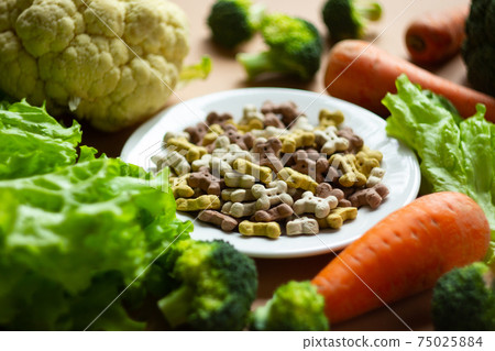 Dog vegetarian dry crunchies on plate and fresh vegetables  75025884
