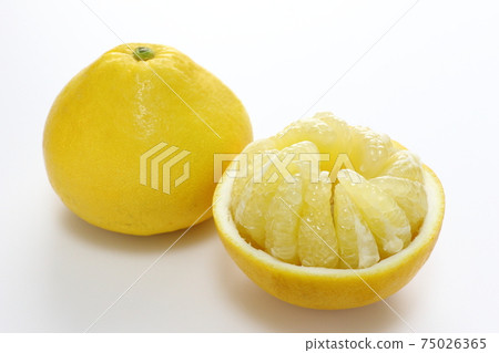 Lunch box Lunch box 75026365