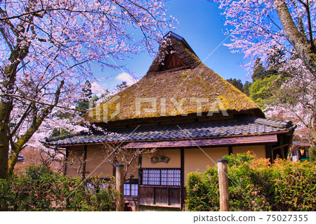 香京公園溫泉 75027355