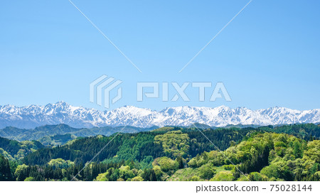 從Narai Shion公園看到的北阿爾卑斯山（5月） 75028144