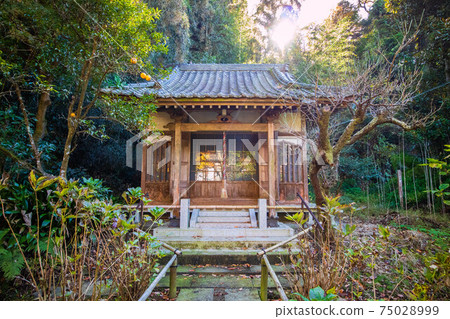鎌倉古城的秋天,秋天的色彩,妙高寺,大角殿 鎌倉古城的秋天,秋天的色彩,妙高寺,大角殿 75028999