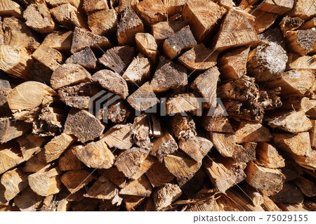 Close up for dry firewood 75029155