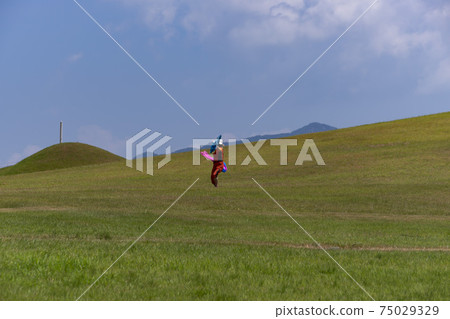 Goseong Songjeong-dong tomb, Goseong-gun, Gyeongnam Goseong Songjeong-dong tomb, Goseong-gun, Gyeongnam 75029329