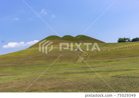 慶南市高城郡高城松亭洞墓 慶南市高城郡高城松亭洞墓 75029349