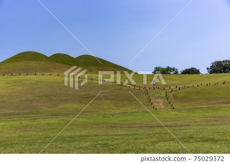 Goseong Songjeong-dong tomb, Goseong-gun, Gyeongnam 75029372