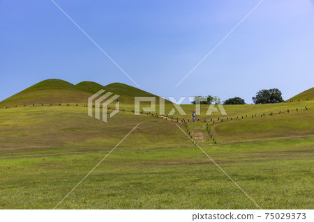 Goseong Songjeong-dong tomb, Goseong-gun, Gyeongnam 75029373