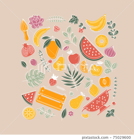 Various fruit collection. Linear graphic. Summer fruits set. Scandinavian style. Vector illustration 75029600
