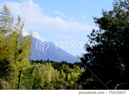 Half of Sakurajima seen from the woods Half of Sakurajima seen from the woods 75029697