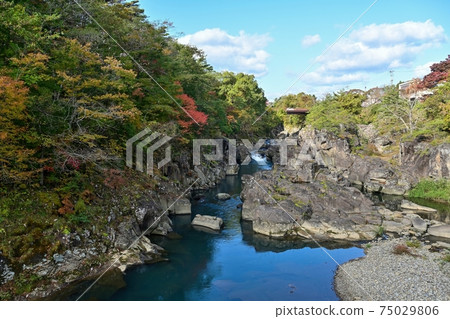 Genbikei Gorge's autumn leaves in the background of the blue sky @ Ichinoseki, Iwate 75029806