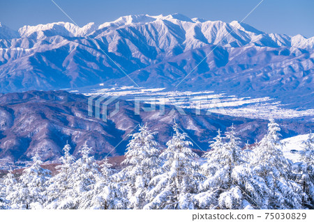 《Nagano Prefecture》 Kirigamine plateau in winter, a primeval forest of hoarfrost 75030829