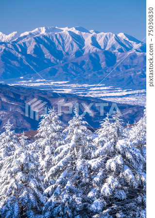 《Nagano Prefecture》 Kirigamine plateau in winter, a primeval forest of hoarfrost 75030830