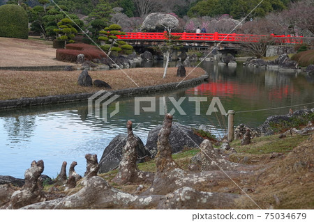 Bald cypress and Misono Bridge in Nanrakuen Garden in early spring 75034679