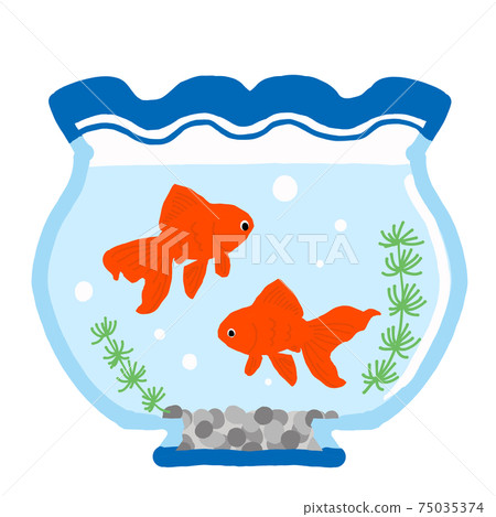Illustration of a fishbowl with a Ryukin goldfish Illustration of a fishbowl with a Ryukin goldfish 75035374