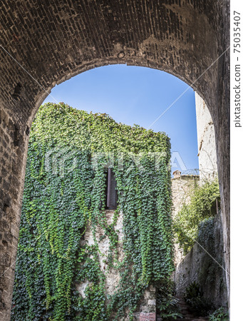 View from the arch to the street with a house covered with greenery in San Gimignano, Italy 75035407