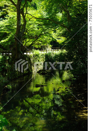 oh面河和aki道的反思/鮮綠色 oh面河和aki道的反思/鮮綠色 75035671