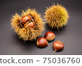 Chestnut 1 75036760