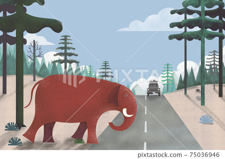 elephant crossing the road forest 75036946
