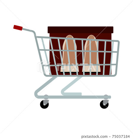 Shopping Cart With Shoes In Box Icon 75037184