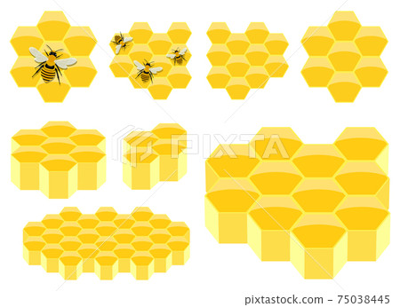 Honeycomb vector design illustration isolated on white background Honeycomb vector design illustration isolated on white background 75038445