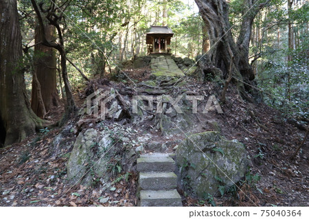 Shirataki Shrine at the foot of Mt. Tsukuba Shirataki Shrine at the foot of Mt. Tsukuba 75040364