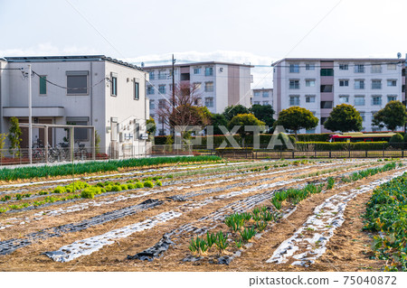 Agricultural land converted to residential land 75040872
