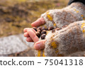 Scoop acorns 75041318