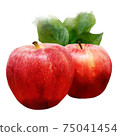 蘋果水彩風格水果 75041454