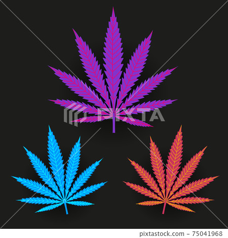 hemp leaf in purple pink blue color 75041968