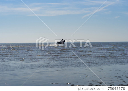 騎馬,沼澤海灘,中區,仁川 騎馬,沼澤海灘,中區,仁川 75042378