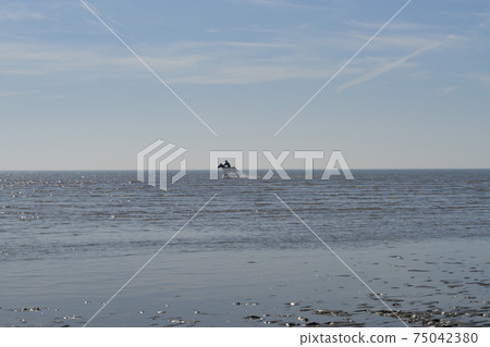 騎馬，沼澤海灘，中區，仁川 75042380