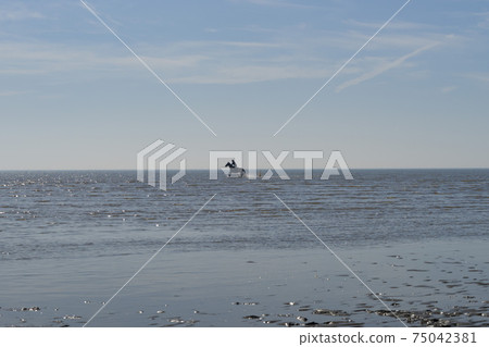 騎馬,沼澤海灘,中區,仁川 騎馬,沼澤海灘,中區,仁川 75042381