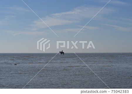 騎馬,沼澤海灘,中區,仁川 騎馬,沼澤海灘,中區,仁川 75042383