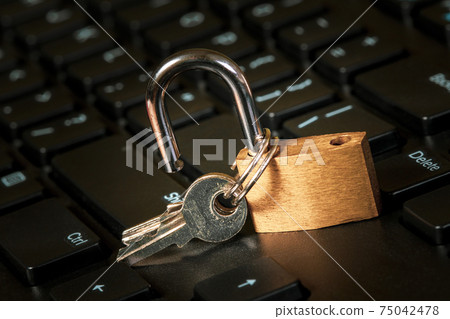 Computer security breach concept 75042478