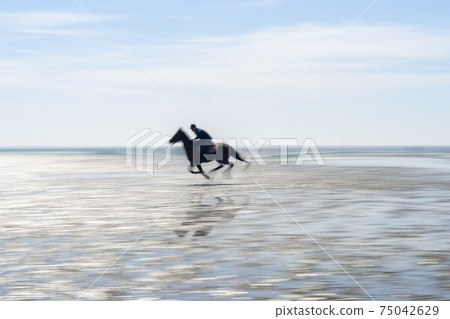 騎馬，沼澤海灘，中區，仁川 75042629