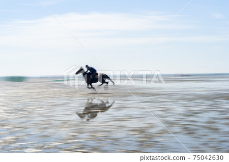 騎馬，沼澤海灘，中區，仁川 75042630