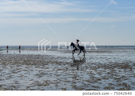 騎馬,沼澤海灘,中區,仁川 騎馬,沼澤海灘,中區,仁川 75042640