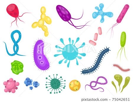 Virus bacteria vector design illustration isolated on white background Virus bacteria vector design illustration isolated on white background 75042651
