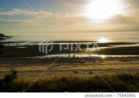 Marcian Beach，Jung-gu，Incheon 75043801