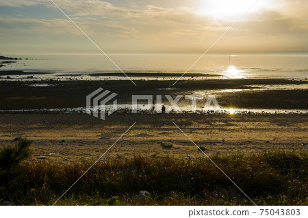 Marcian Beach, Jung-gu, Incheon 75043803