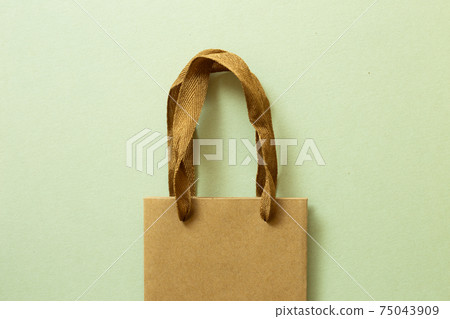 Brown kraft paper shopping Bag on green background. top view 75043909