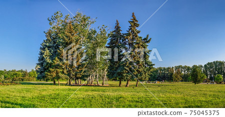 Valley of roses in Cherkasy, Ukraine Valley of roses in Cherkasy, Ukraine 75045375