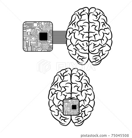 Brain microscheme chip background 75045508